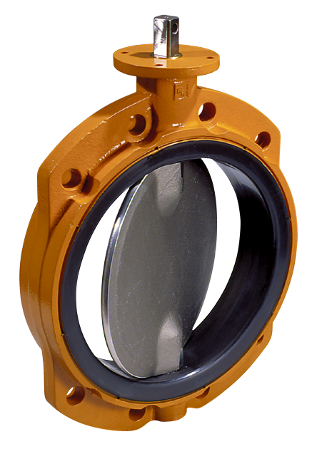 Wouter Witzel vlinderklep EVBS