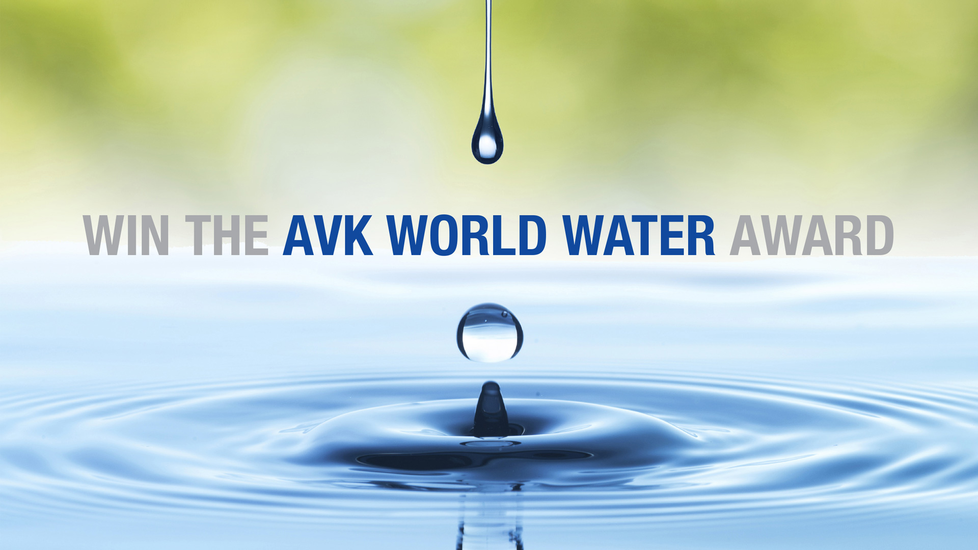 AVK World Water Award